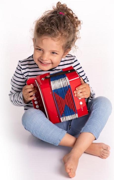 Actual product image Boogie Bee accordion 7 keys (German, French, English, Italian)