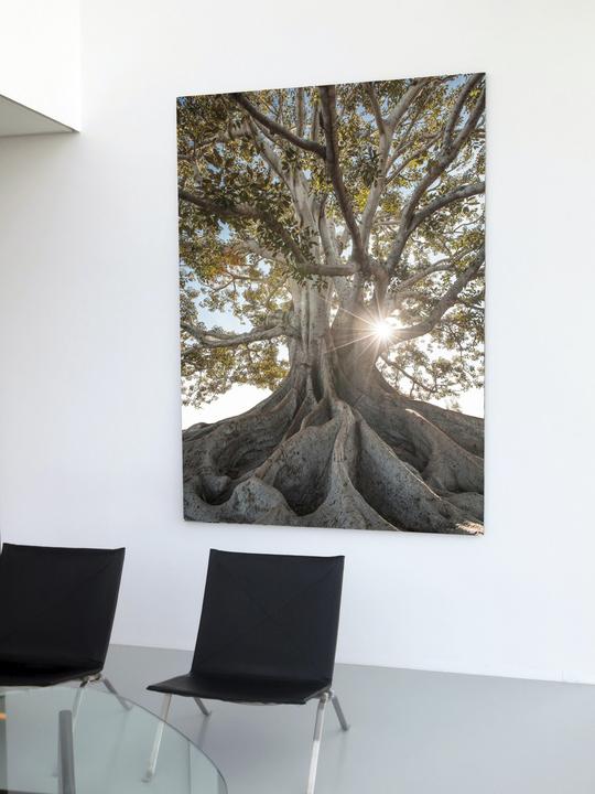 Immagine prodotto Eicie Arven (140 x 200 cm)