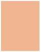 Actual product image Shiseido Total Radiance Foundation (N3)