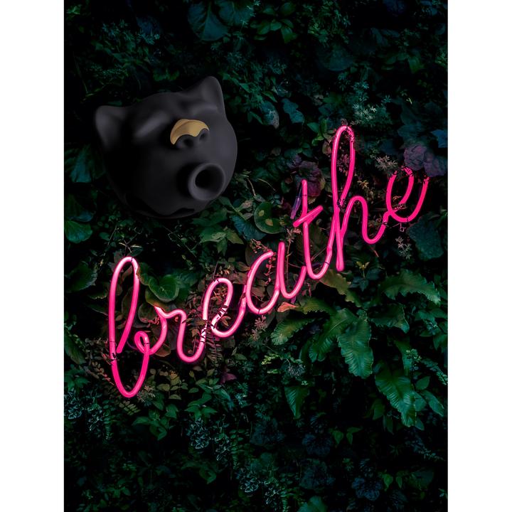 Produktbild Gvibe Gcat Klitoraler Sauger Mystic Noir