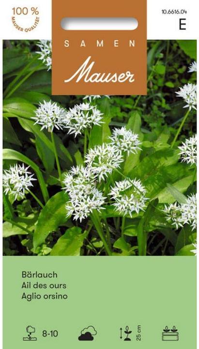 Produktbild Samen Mauser Bärlauch (Pflanzensamen)