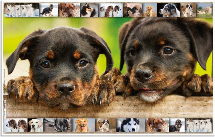 Produktbild HERMA Schreibtischunterlage (55 x 35 cm)