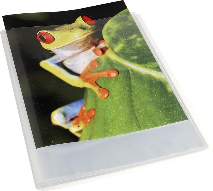 Image du produit Exacompta Dossier de présentation (A4, 1 x)
