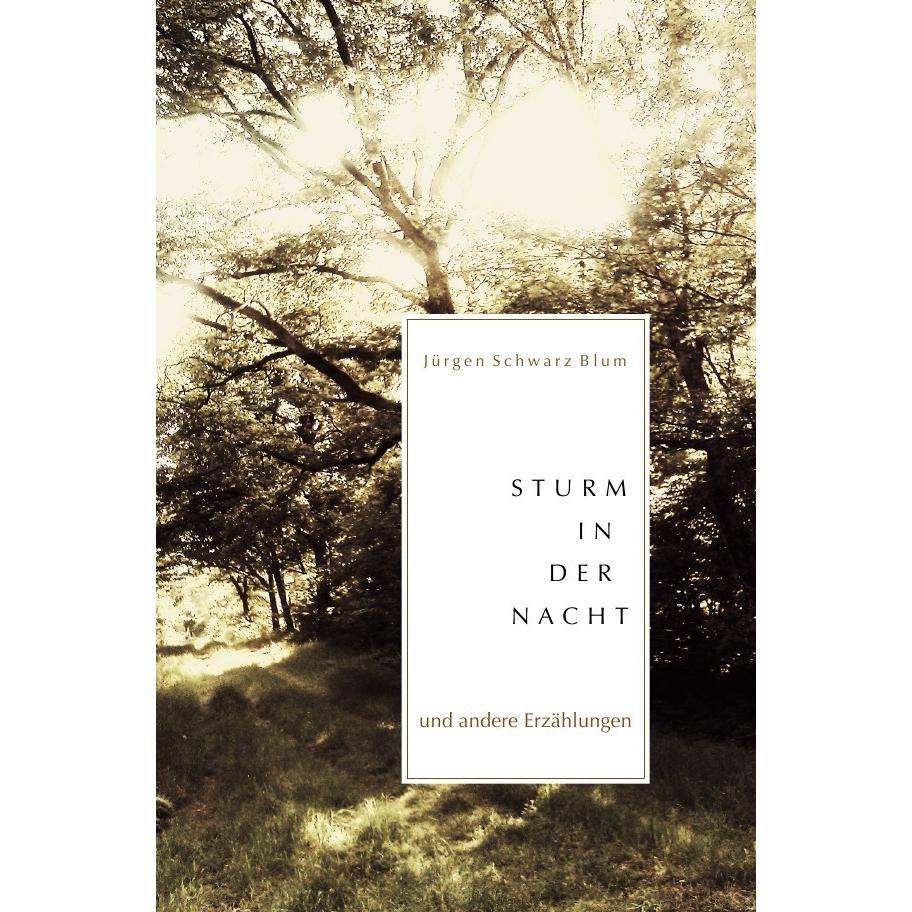 Sturm in der Nacht, Belletristik von Jürgen Schwarz Blum