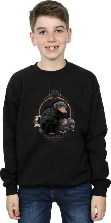 Image du produit Fantastic Beasts - Sweat BABY NIFFLERS - Garçon (128)