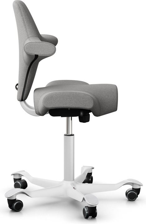 Actual product image HAG Capisco