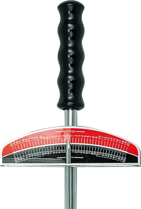 Produktbild Toya Drehmomentschlüssel 1/2 schwenkbar (1/2", 200 Nm)