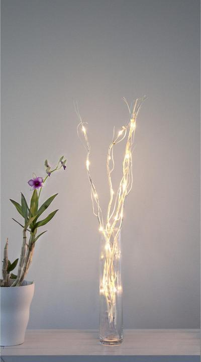 Image du produit Star Trading Branche décorative Willow