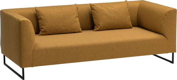 Actual product image Freistil Rolf Benz Freistil 160 (60 x 40 cm)