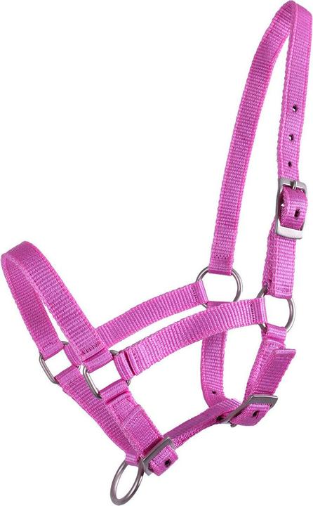 Image du produit Qhp Licol pour poulain