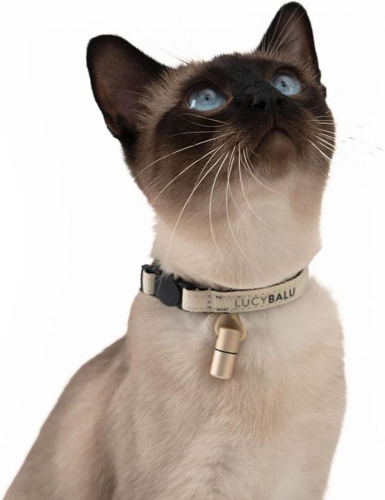 Image du produit LucyBalu Willy (Chat, Général)