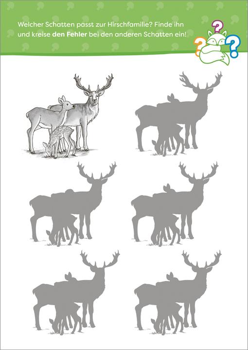 Produktbild Tessloff Wald-und-Wiesen-Rätselspass. Natur (Deutsch, Stefan Lohr, 2024)