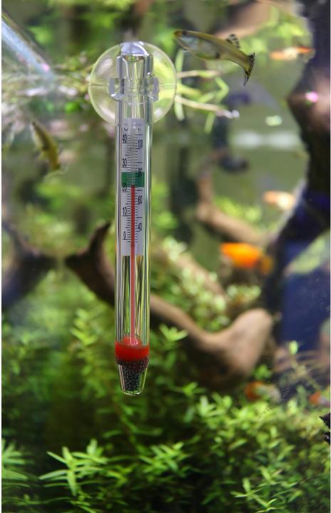 Produktbild Aquavie Thermometer aus Glas