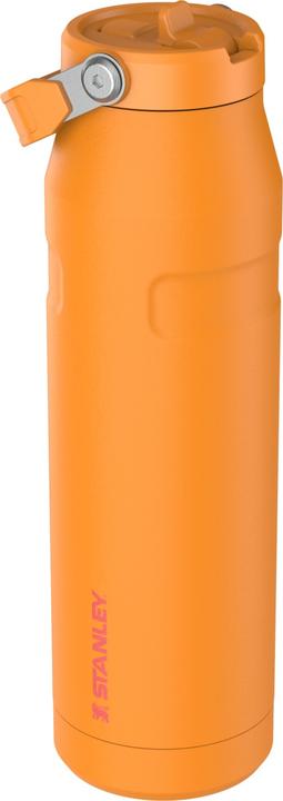 Produktbild Stanley 1913 IceFlow Flip Straw Flasche (1.06 l)