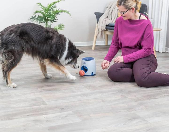 Actual product image Trixie Ball & Treat (Intelligence toy dog)