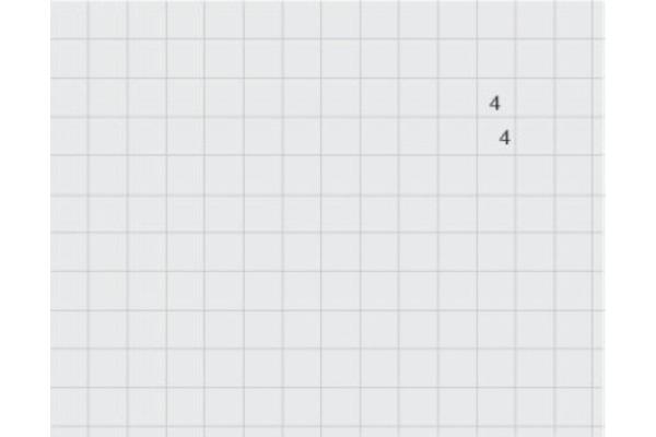 Actual product image Ingold-Biwa Staple sheets (A4, Checked)