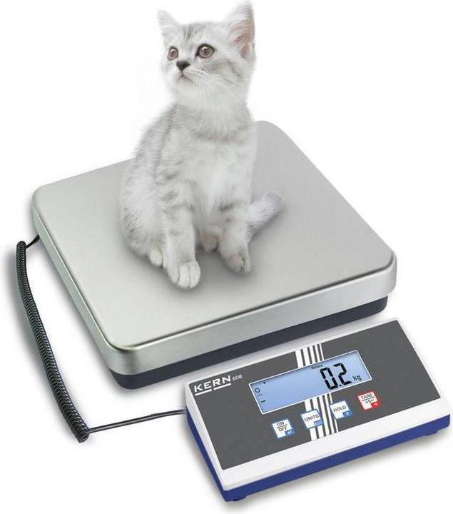 Immagine prodotto Kern Bilancia a piattaforma 300kg / risoluzione 100 g, calibrata DKD/DAkkS