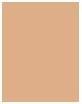 Actual product image Shiseido Synchro Skin Self Refreshing Powder Fond de Teint No 240 (240 Quartz)