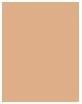 Produktbild Shiseido Synchro Skin Self Refreshing Powder Fond de Teint No 240 (240 Quartz)