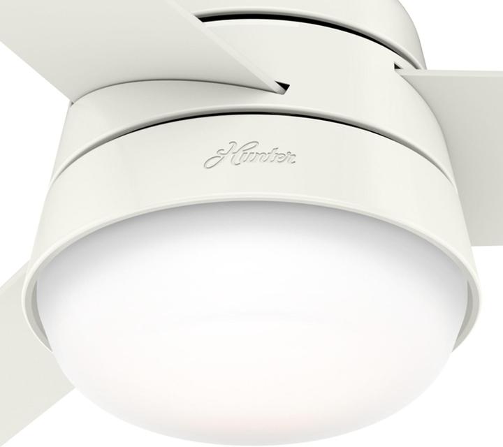 Actual product image Hunter Ceiling Fan Finley 36" 91 cm Fresh White (46 dB)