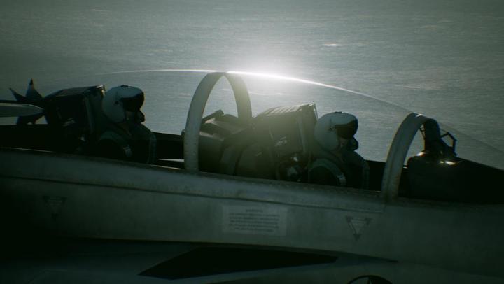 Actual product image Bandai Namco Ace Combat 7: Skies Unknown (PS4, DE)