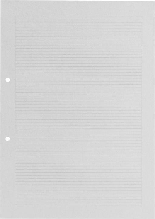 Image du produit Office Feuille de cahier FSC A4, Ligné, Gris (A4, À rayures, Non contraignant)