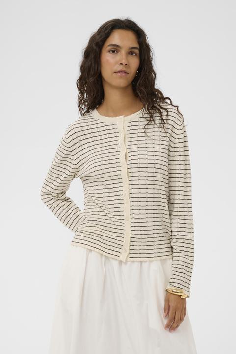 Black Stripe, Turtledove