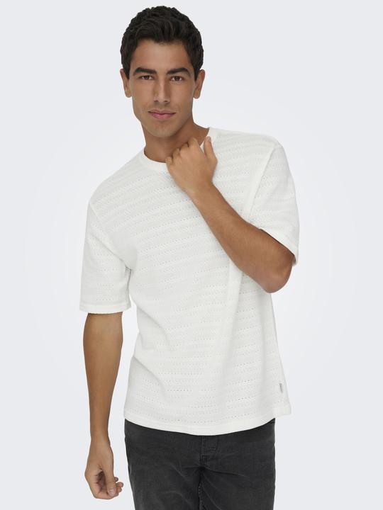 Produktbild Only & Sons Onsgivo Reg 12 Ss Crew Knit Noos (L)