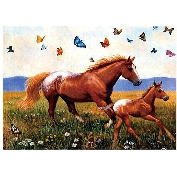 Norimpex 5D-Diamantmosaik - Pferde 40x30cm