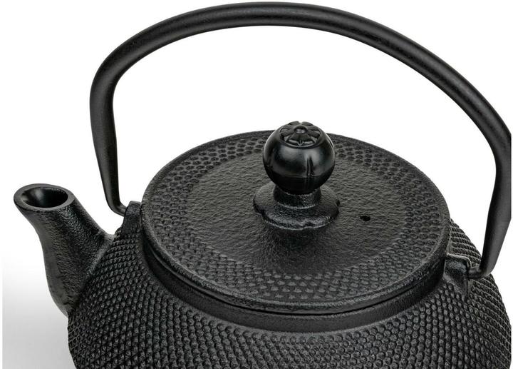 Actual product image Bredemeijer Teekanne Jang 0.5 l (0.50 l)