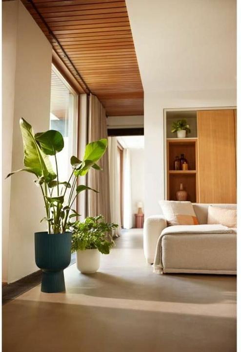 Produktbild Elho Vibes Fold Coupe (29.50 x 44.70 cm)