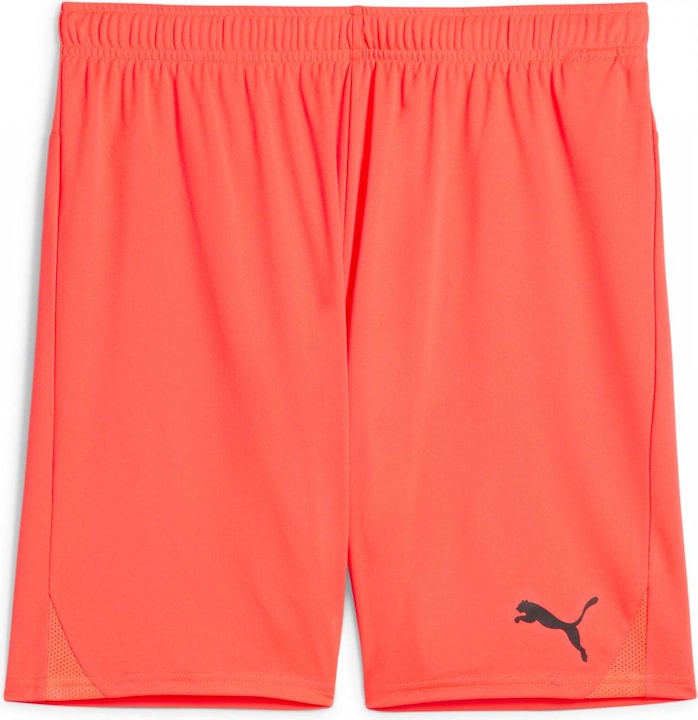 Image du produit Puma teamGOAL Short (3XL)