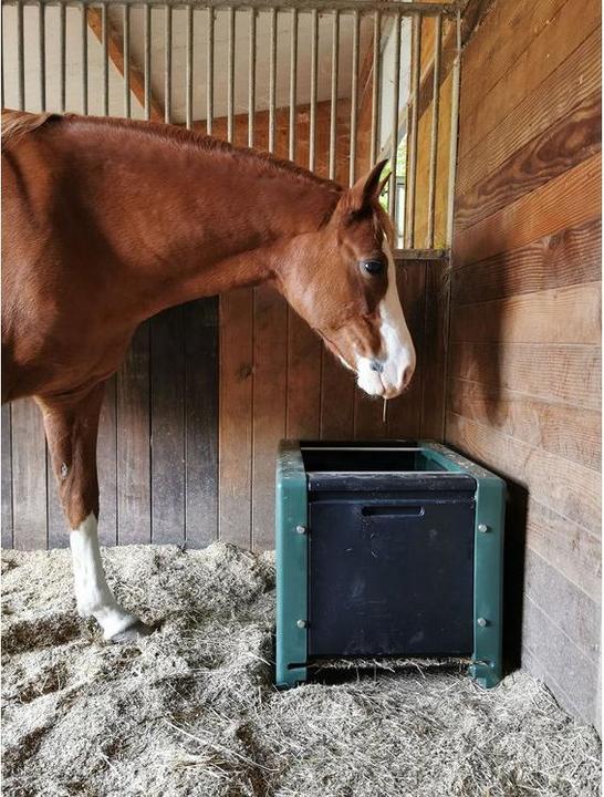 Produktbild Kerbl Futterraufe HayBox