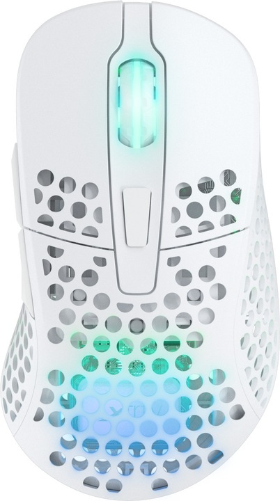 CHERRY xtrfy M4 Wireless RGB (Kabelgebunden)