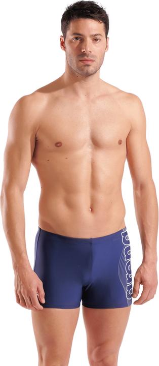 Arena M Basic Swim Short