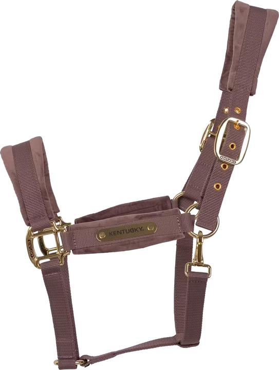Immagine prodotto Kentucky Horsewear Cavezza in nylon