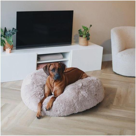 Image du produit District 70 Harwell 2.0 (Chien)