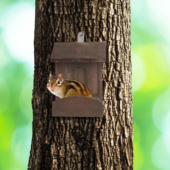 Actual product image Relaxdays Hanging Squirrel Feeder