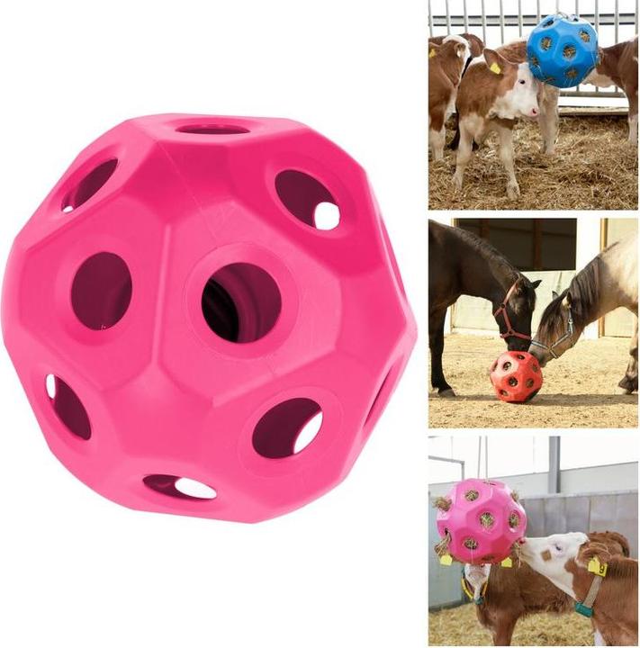 Actual product image Kerbl HayBoy food play ball