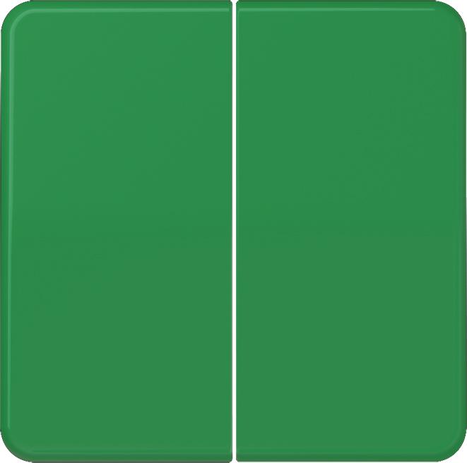 Actual product image JUNG Rocker gn