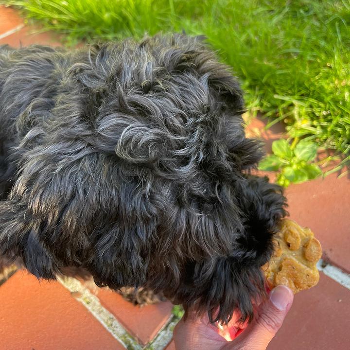 Produktbild Nobby Silicon baking mat "Paw", 30 x 25 cm