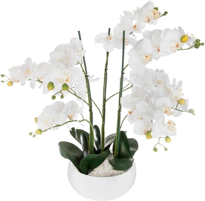 Image du produit Atmosphera 155640B (65 cm)