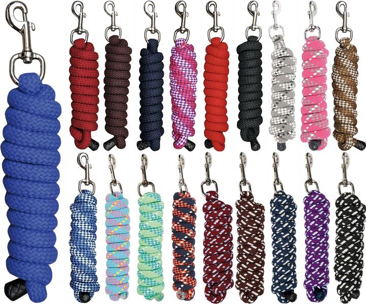 Actual product image Harry's Horse Mounty lanyard with carabiner