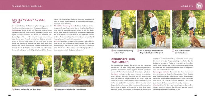 Produktbild Welpen-Erziehung (Deutsch, Katharina Schlegl-Kofler, 2025)