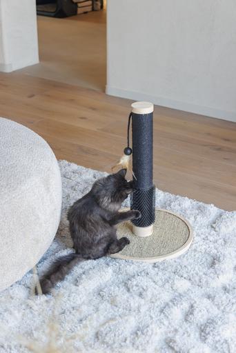 Produktbild Designed by Lotte Holz Kratzbaum (55 cm, Schwarz, Braun)