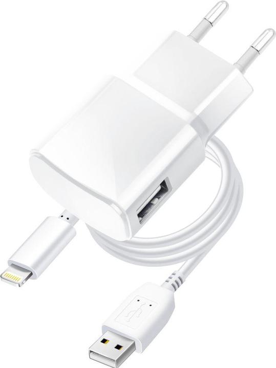 Actual product image Cable Blue Star BLUE STAR travel charger 1A 5W USB A + cable USB A to Lightning TFK-TC-1100B white (5 W)