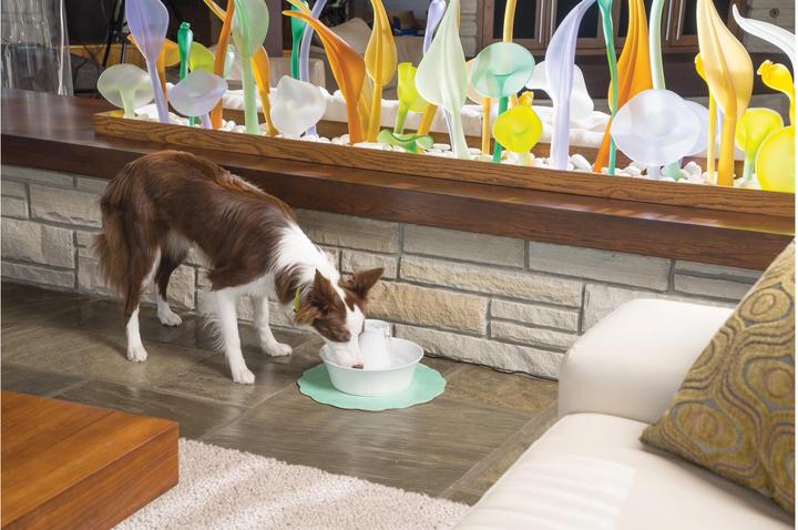 Image du produit Drinkwell PetSafe Avalon (2 l)