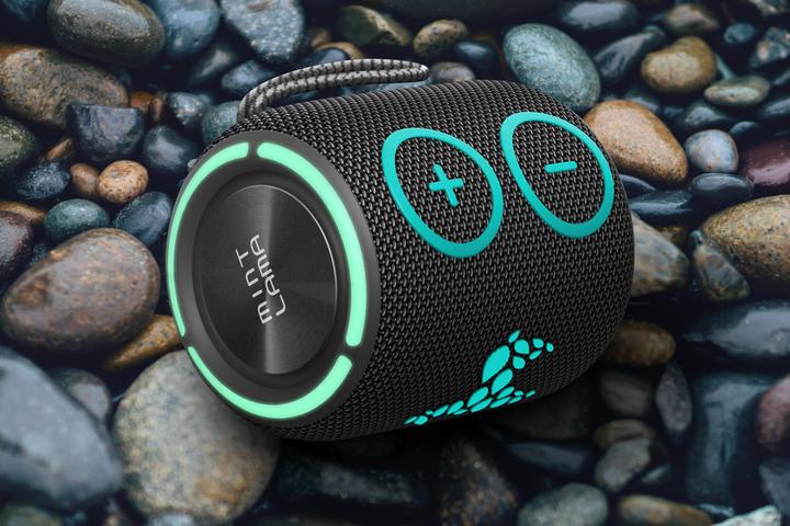 Actual product image Mint Lama Lamabeat 2 (6 h)