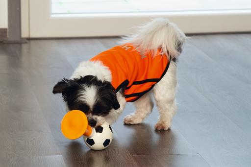 Immagine prodotto Beeztees Bz Holland Tromba D'Aria HD Gioco 2 (Gioco da masticare per cani)