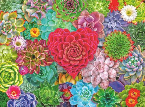 Produktbild Ravensburger - Succulent Love - 500p (12001469) (500 Teile)